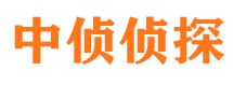 遂宁市调查公司